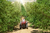 Carousel 1 LowRes.jpg