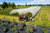 Delfino_60_Stage V_Field_DJI_0241.jpg