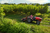Frutteto Natural_80_Stage V_Field_DJI_0284_preview.jpg